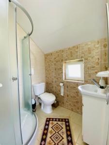 a bathroom with a toilet and a sink and a shower at Pensiunea Casa Mariuca in Văleni +48 photos