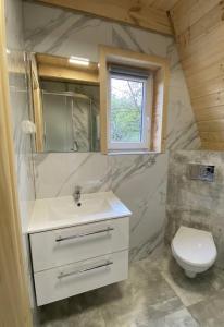 a bathroom with a sink and a toilet at Bieszczadzki Reset A-Frame in Bukowiec