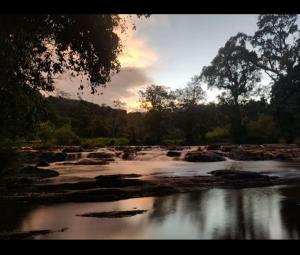a river with rocks and trees in the background at COORG CLlMATE FARM HOUSE in Madikeri