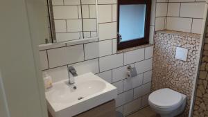 a bathroom with a sink and a toilet and a mirror at Ferienhaus 8 in Ahrbrück +9 photos