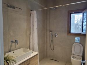 a bathroom with a shower and a sink and a toilet at Forest and Sea view villas in Samothraki +55 photos
