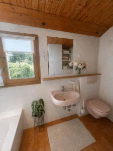 a bathroom with a sink toilet and a window at Ferienhaus mit 3 Apartments - Belle Apartment - Top-Lage, Sauna, HS-Card in Feldberg