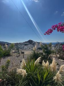 a view of a city with plants and flowers at MIRA house in Ios Chora