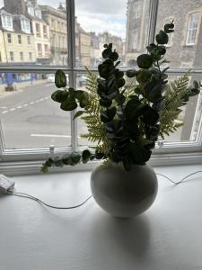 a vase with a plant sitting on a window sill at Towerknowe in Hawick