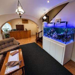 TV a/nebo společenská místnost v ubytování Fodor Hotel