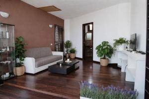 a living room with a couch and potted plants at Escape Anzio- intero appartamento in Anzio