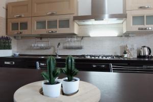 a kitchen with two potted plants on a table at Escape Anzio- intero appartamento in Anzio