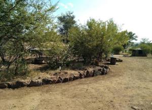 a group of trees and a tent in a field at Pop Lamont Camp in Chobe