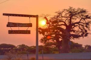 a street sign in front of a tree with the sunset at Pop Lamont Camp in Chobe