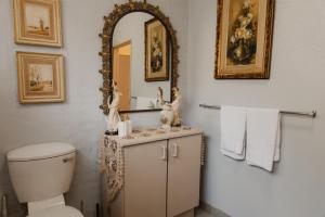 a bathroom with a toilet and a mirror at The Hidden Garden Guesthouse in Meyerton