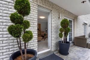 two potted trees in pots next to a building at Fewo am Wasser 2 in Groß Lindow