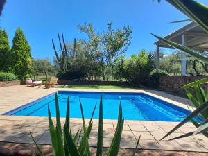 a swimming pool in the backyard of a house at Buck Hill Bush Lodge in Magaliesburg +27 photos