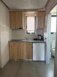 a small kitchen with a sink and a dishwasher at Villa Relax in Kallithea Halkidikis
