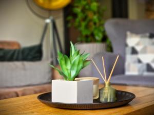 a black plate with a plant on a table at Garda Hotel in Szombathely