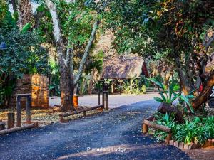 a dirt road with trees and a house in the background at Phumulani Lodge Kameeldrift in Pretoria