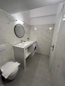 a bathroom with a toilet and a sink and a mirror at Pension St.George Rooms & Studios in Perivolos +107 photos