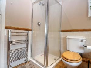 a bathroom with a toilet and a shower at Daisy Cottage in Dorking