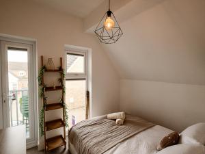 a bedroom with a bed and a book shelf at Sun Set House With Hot Tub in Witchford