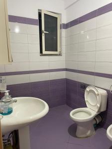 a bathroom with a sink and a toilet and a window at Endi Apartments 2 in Tirana