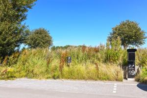 a field of tall grass with signs on the side of a road at Seeperle Meerleben in Carolinensiel