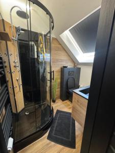 a room with a large glass shower in a room at Studio détente, sdb privative, billard, air soccer, clim in Verviers