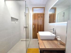 a bathroom with a sink and a glass shower at Apartman Filip in Risika