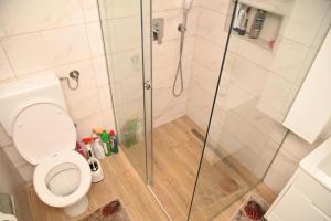 a bathroom with a shower and a toilet at Kutak u Vranicu in Vranic