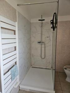 a bathroom with a shower with a toilet at Appartement T2 in Vaugneray