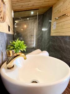 a bathroom sink with a plant on top of it at Chader Bari Beach Resort, Cox's Bazar in Cox's Bazar