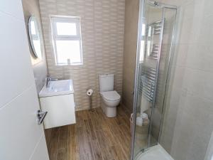 a bathroom with a toilet and a sink and a shower at Red House in Galway +14 photos