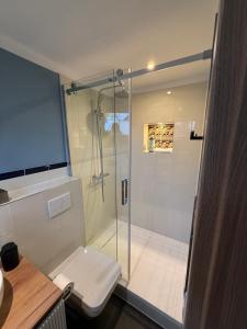 a bathroom with a glass shower with a toilet at Pension Flughafen Leipzig in Freiroda