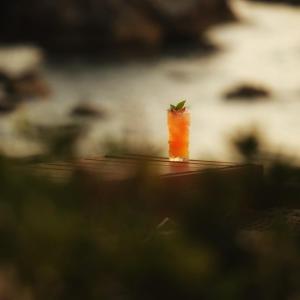 a small carrot sitting on top of a table at Oniro by Iliria Palace in Himare +15 photos