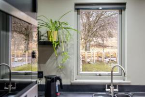 a kitchen sink with a window and a plant at Larch House in Blairgowrie +51 photos