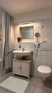 a bathroom with a sink and a toilet and a mirror at AMAO-Sienna - Walk to Europa-Park - Terrace - 6 Guests in Rust +30 photos