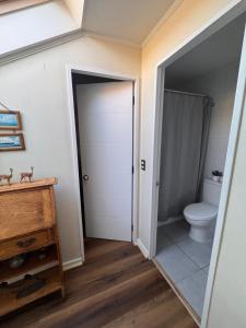 a bathroom with a toilet and a sink at Decher Apartment - Puerto Varas in Puerto Varas +12 photos