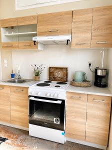 a kitchen with a white stove and wooden cabinets at Okio in Petra