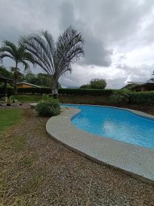 a swimming pool in a yard with a palm tree at Tucan Apartment in Agua Azul
