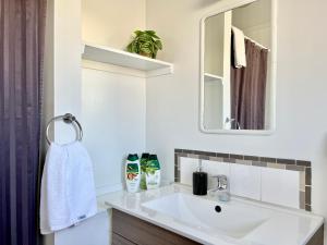a bathroom with a sink and a mirror at Mt Dobson Motel in Kimbell +14 photos