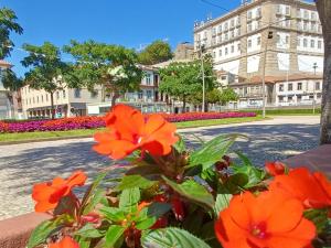 a group of orange flowers in front of a street at Refúgio Brisa Mar in Vila do Conde