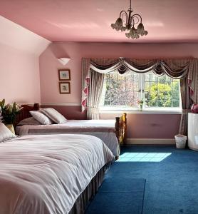 two beds in a bedroom with pink walls and a window at CarMichael in Edinburgh