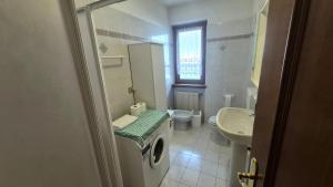 a bathroom with a washing machine and a sink at Saroio B in Auronzo di Cadore