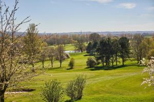 a lush green field with trees and a pond at Host & Stay - Beech Lodge in Belton