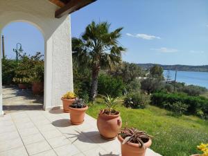 a patio with potted plants and a palm tree at Votsalo Summer House by the Beach in Porto Heli