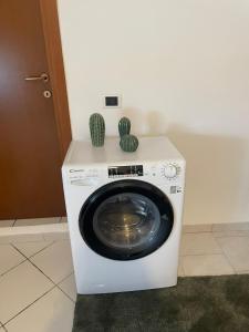 a washing machine with two cactuses on top of it at La casa di Lollo in Piombino