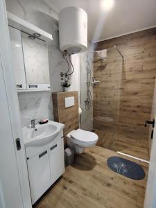 a bathroom with a toilet and a sink and a shower at Silver Moon 1 in Veliko Gradište