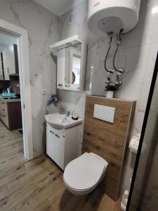 a bathroom with a white toilet and a sink at Silver Moon 1 in Veliko Gradište