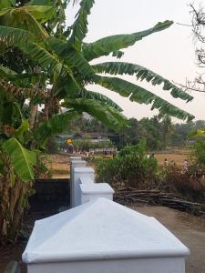a white bench with a bunch of green leaves at Alumpara House - Home Stay in Palakkad