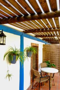 a patio with a table and two potted plants at Hacienda Sajorami in Zahora