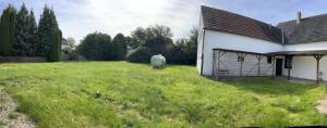 a sheep standing in a yard next to a house at Pension Highway 3 - Preußisch Oldendorf Goethestraße 6 in Preußisch Oldendorf