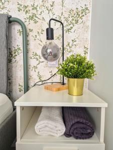 a white shelf with a lamp and a potted plant at ELKO Apartman in Mogán +1 photo